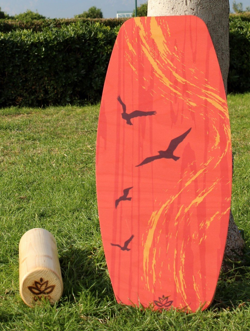 denge-tahtasi-redsea-balance-board-ovvo-1-custom