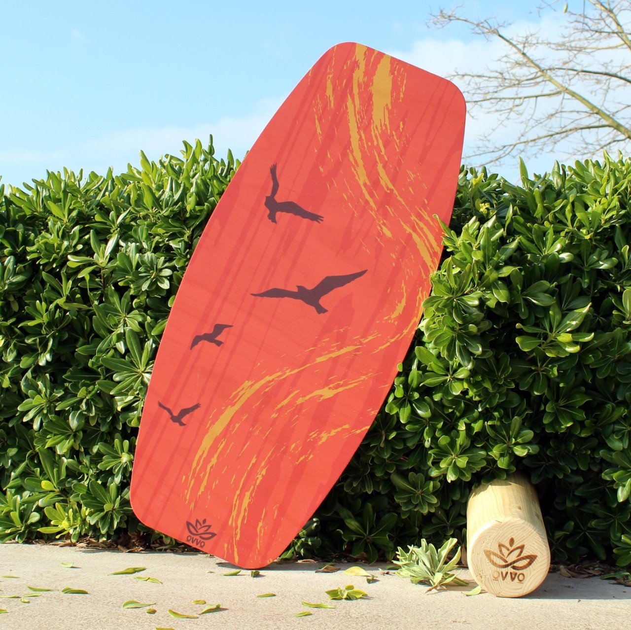 denge-tahtasi-redsea-balance-board-ovvo-6-custom