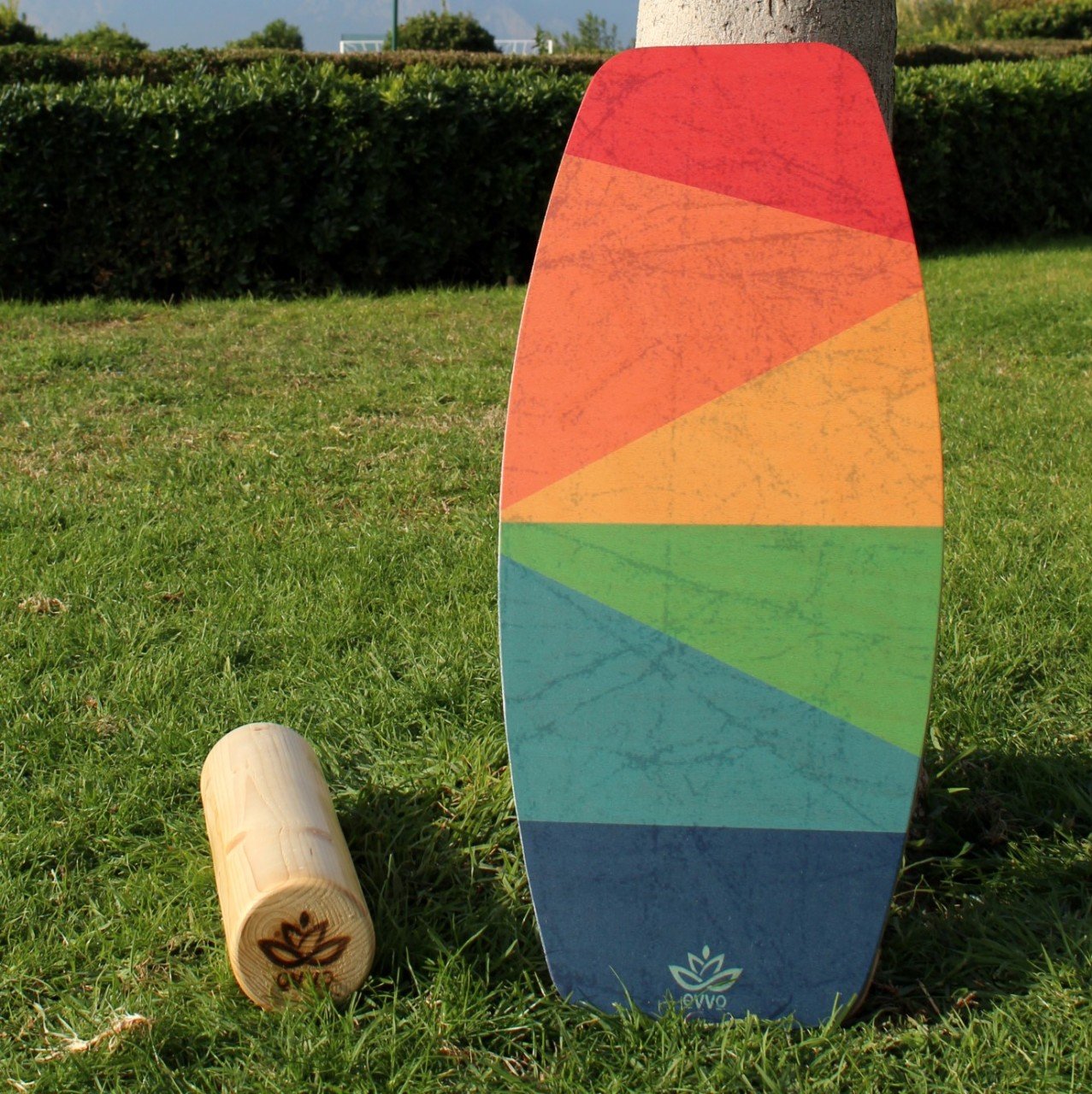 denge-tahtasi-sky-balance-board-ovvo-1-custom